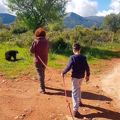 Entrenador con cuerda y perro mantrailing