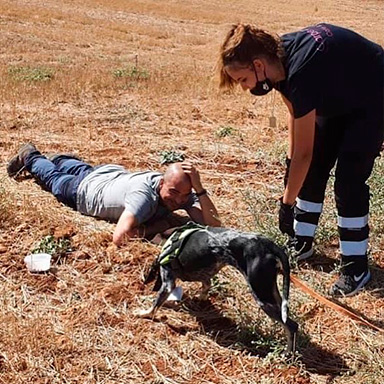 Entrenadores y perro