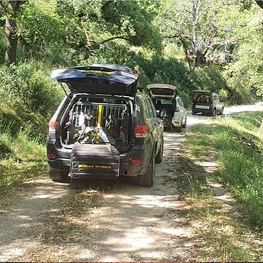 Vehículos con perros mantrailing